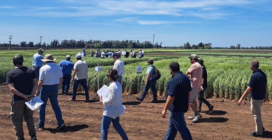 Expocereales visibilizó las oportunidades cercanas y posibles del trigo y cebada